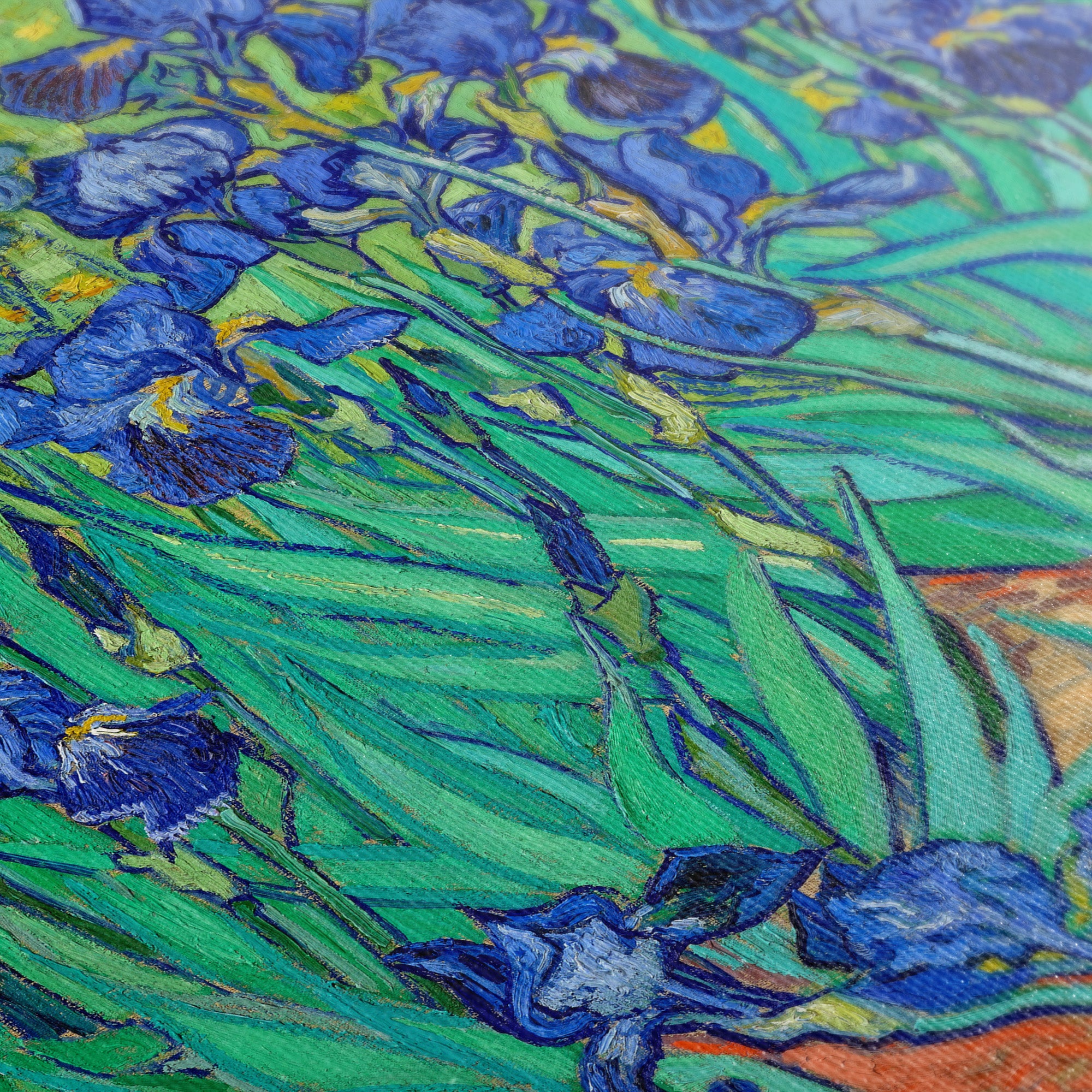 Irises ☷ Van Gogh ☶ Canvas