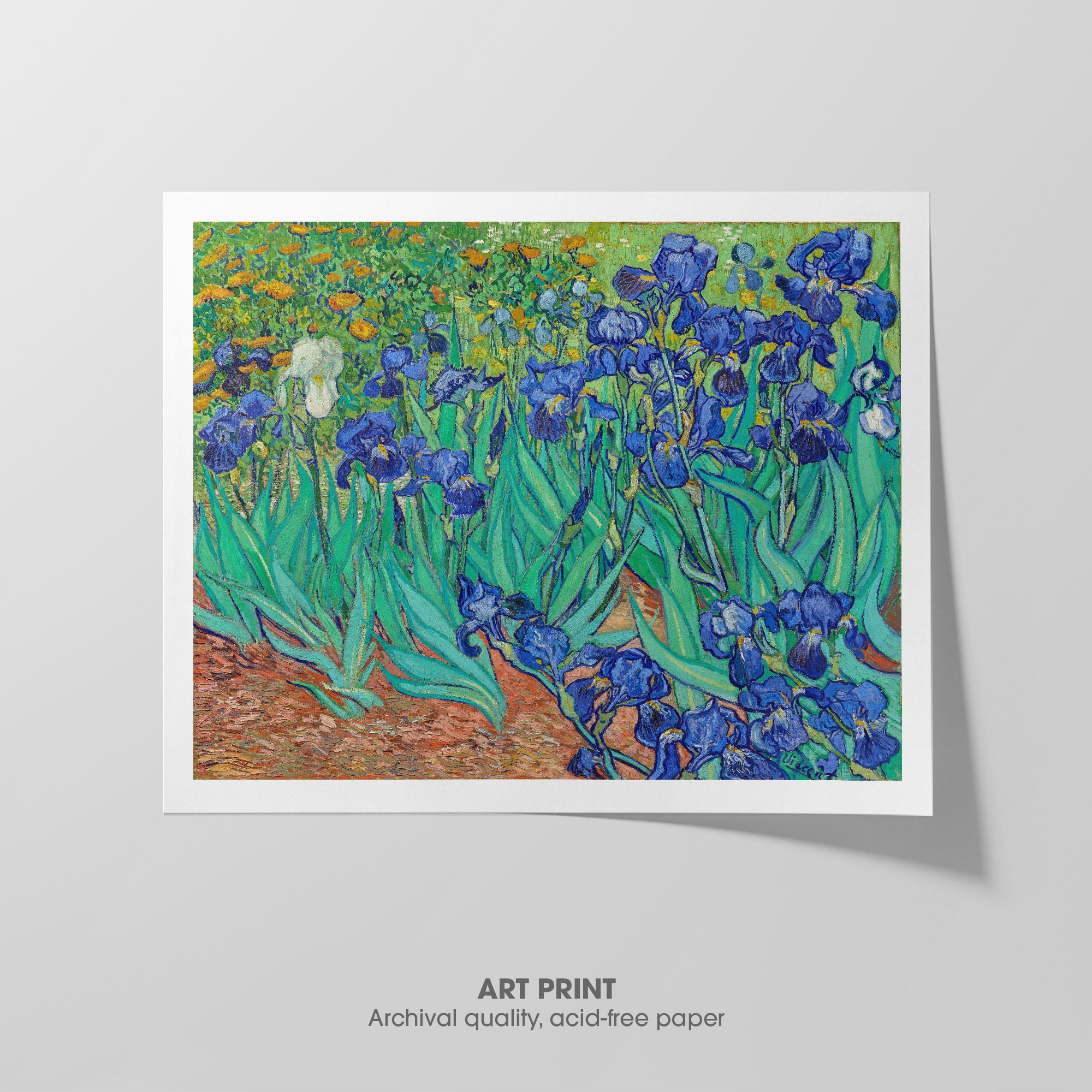 Irises ☷ Van Gogh ☶ Art Print