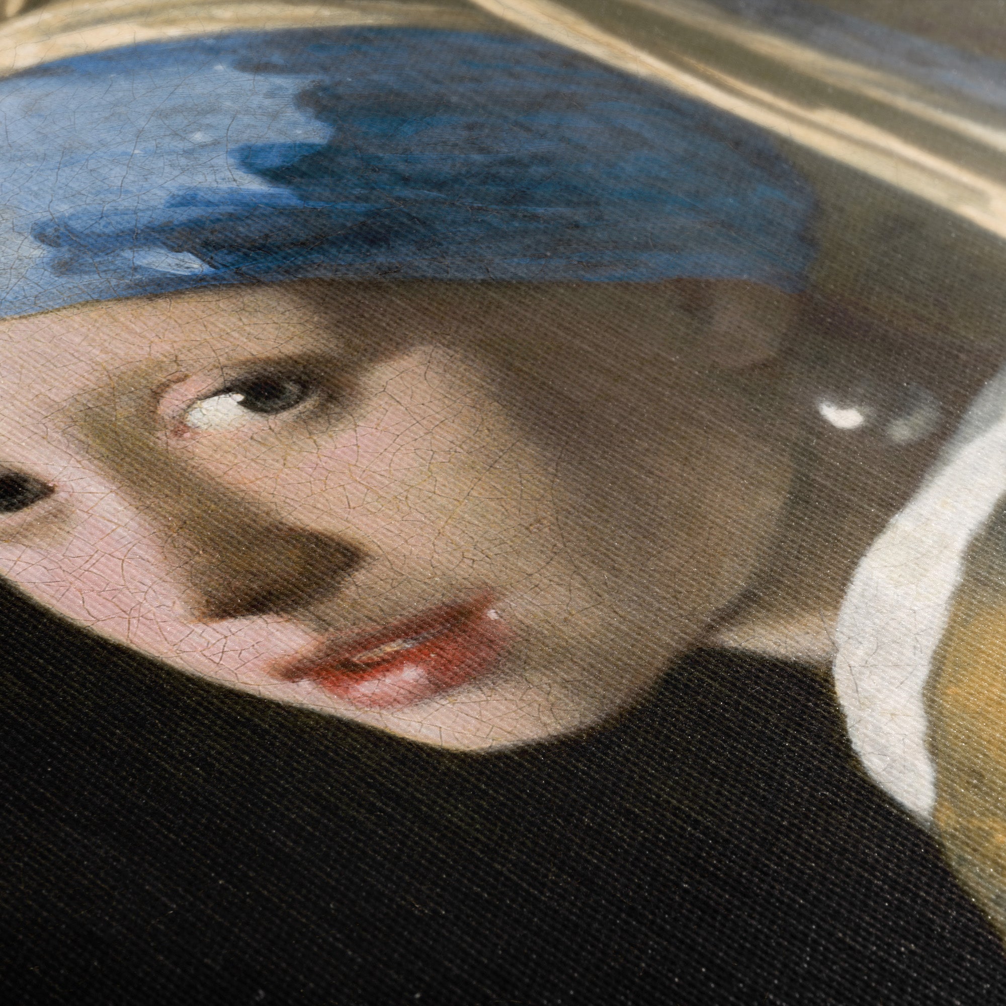 Girl with a Pearl Earring ☶ Vermeer ☴ Canvas