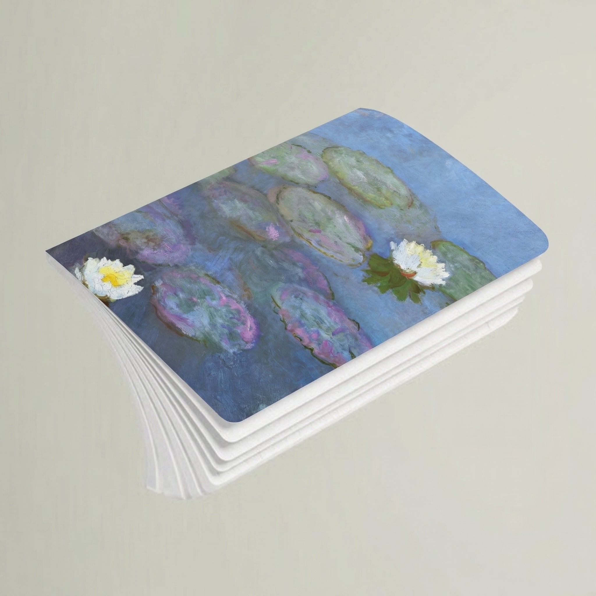 Monet Notebooks